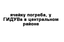 ячейку погреба, у ГИДУВа в центральном районе